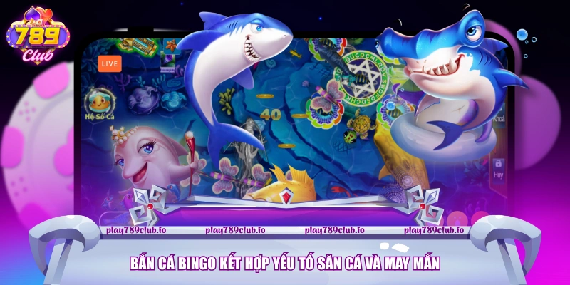 Bắn cá bingo kết hợp yếu tố săn cá và may mắn